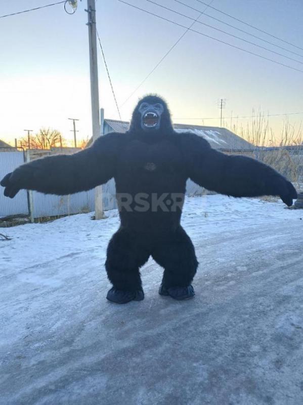 В поисках помощника аниматора 
Снимать выступление отрывками 
И включать колонку 
График свободны - Орск