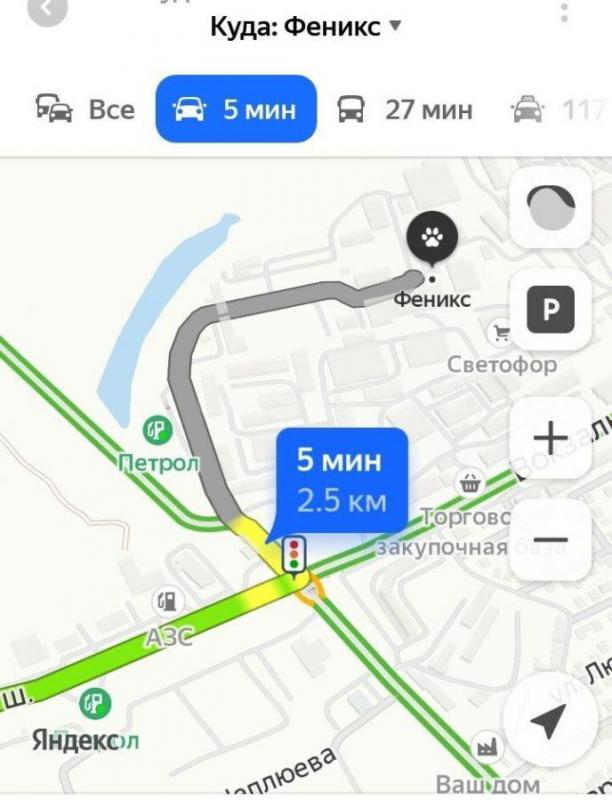 Реализуем суточный и подрощенный молодняк птицы! - Орск
