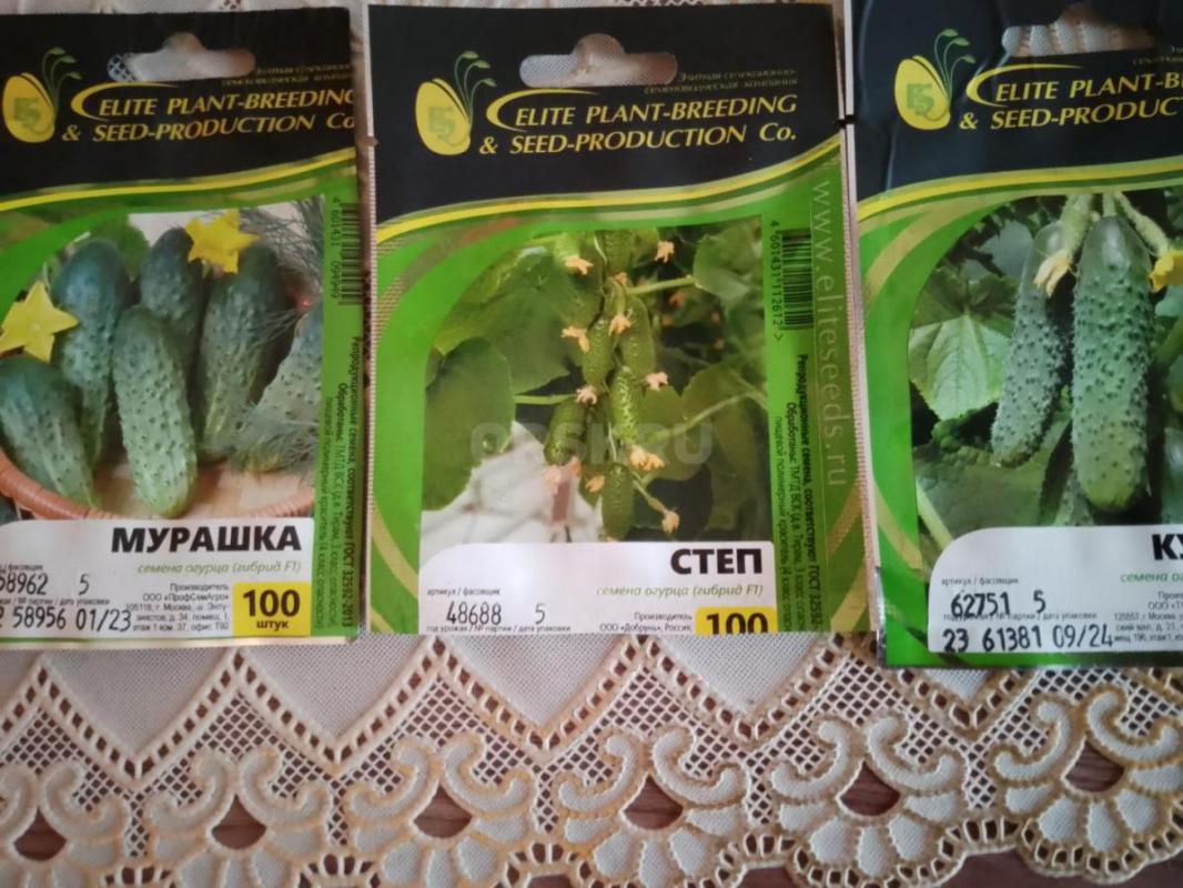 Продаю рассаду Перец сладкий и горький. - Орск