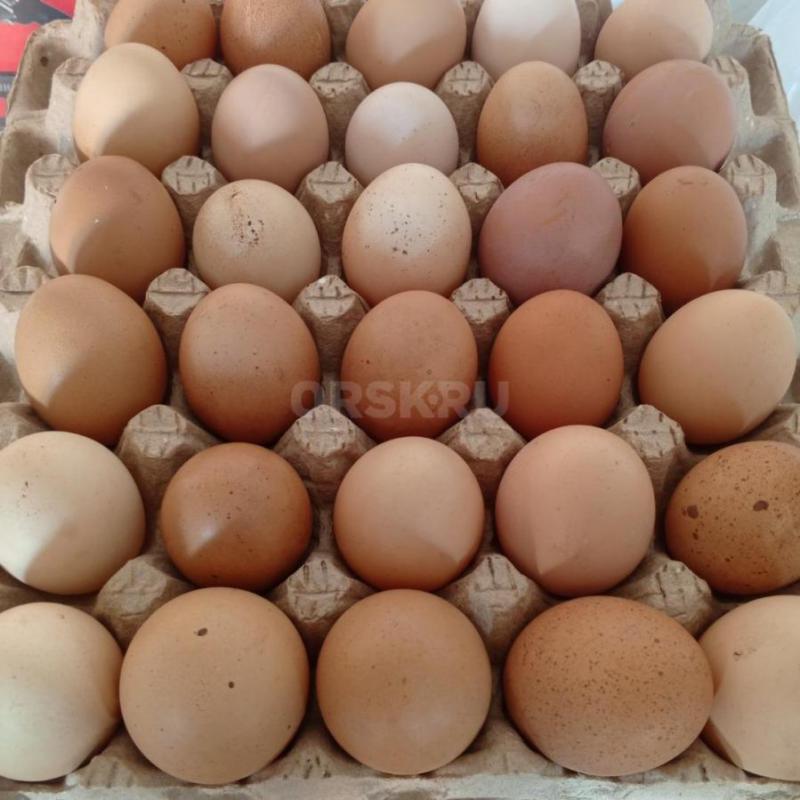 Продам домашнее яйцо крупное, возможна доставка - Орск