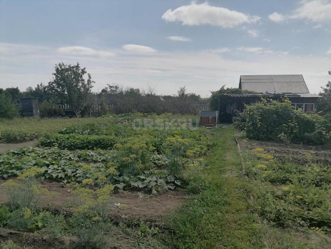 Продам сад, в районе Елшанка, 8 сот, ухоженный, есть яблони, вишня, слива жёлтая и синяя, виноград с - Орск