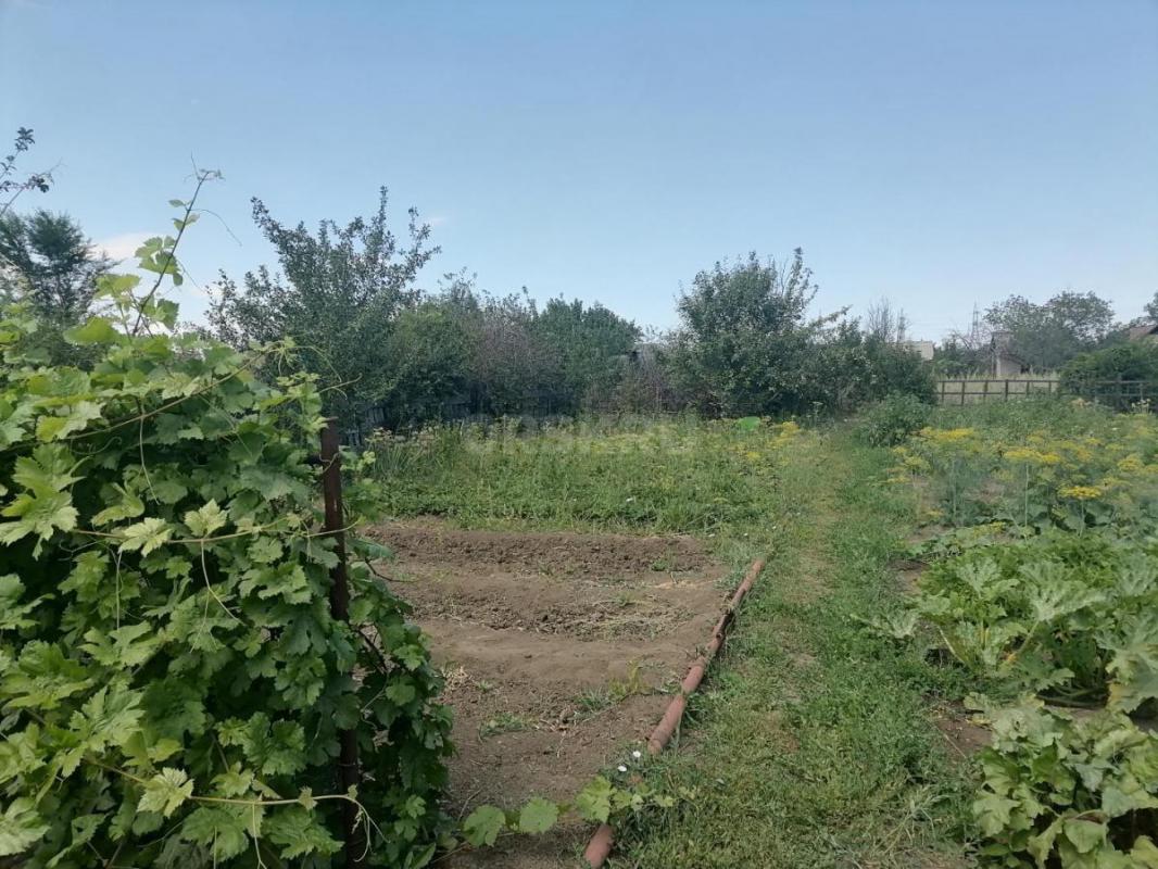Продам сад, в районе Елшанка, 8 сот, ухоженный, есть яблони, вишня, слива жёлтая и синяя, виноград с - Орск