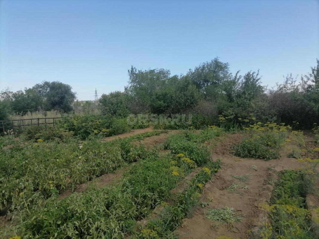 Продам сад, в районе Елшанка, 8 сот, ухоженный, есть яблони, вишня, слива жёлтая и синяя, виноград с - Орск