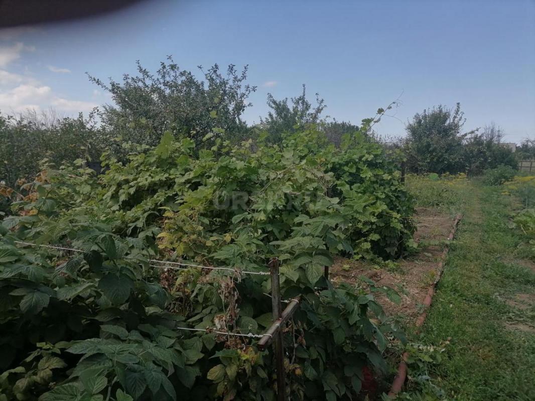 Продам сад -огород 8 соток, район Елшанки, в сторону Круторожино. - Орск