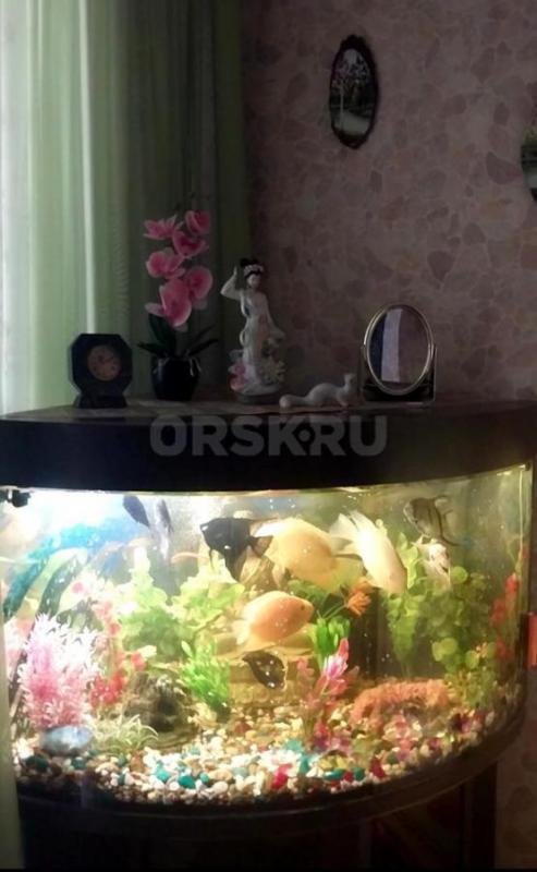 Угловой аквариум с тумбочкой, с рыбками (12 штук), компрессором для воздуха, очисткой, погружными ла - Орск