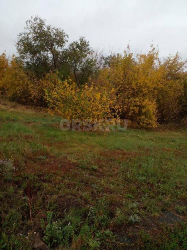 обл. - Орск