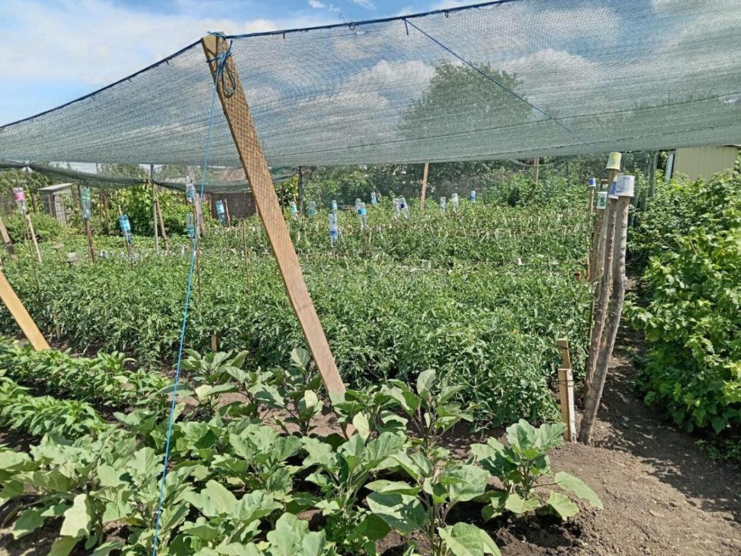 Продается сад СНТ ОРНИКА на 2 Садовой ,домик железно бетонный,12 кв м ,капитальная металлическая две - Орск