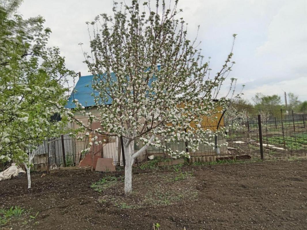 Продается сад СНТ ОРНИКА на 2 Садовой ,домик железно бетонный,12 кв м ,капитальная металлическая две - Орск