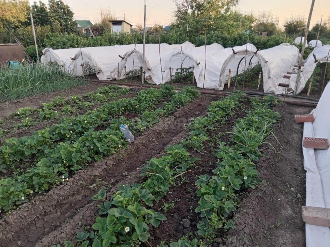 Продается сад СНТ ОРНИКА на 2 Садовой ,домик железно бетонный,12 кв м ,капитальная металлическая две - Орск