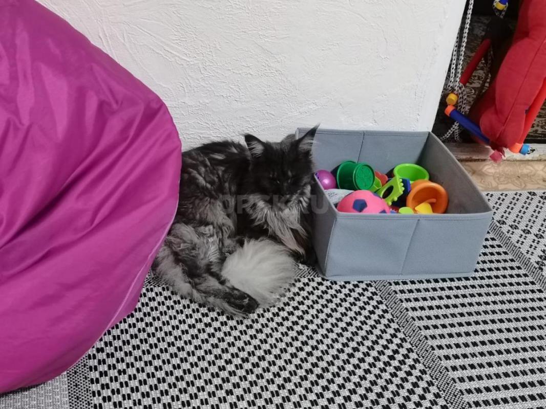 Требуется сиделка для пожилой женщины 70 лет на постоянной основе с посменным графиком (2 через 2 ил - Гай