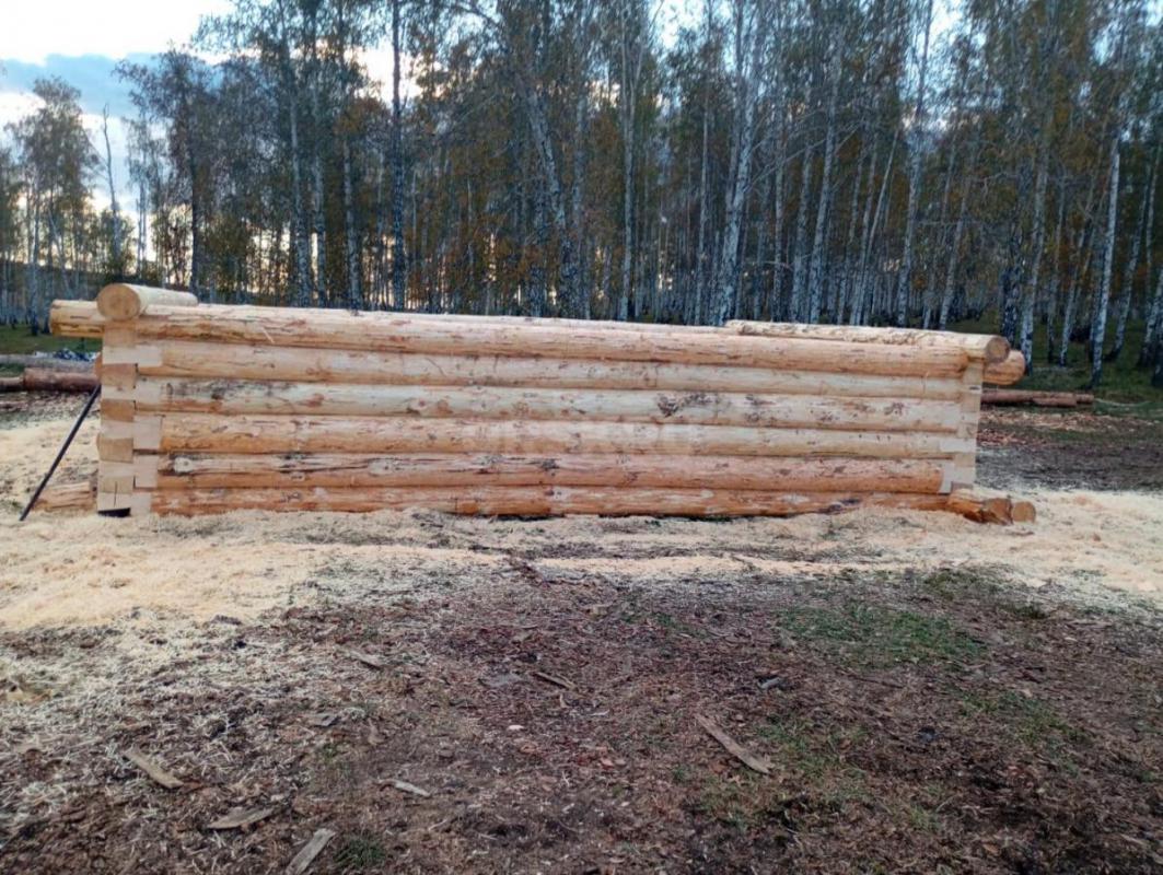 Срубы из сосны любых размеров под заказ. - Орск