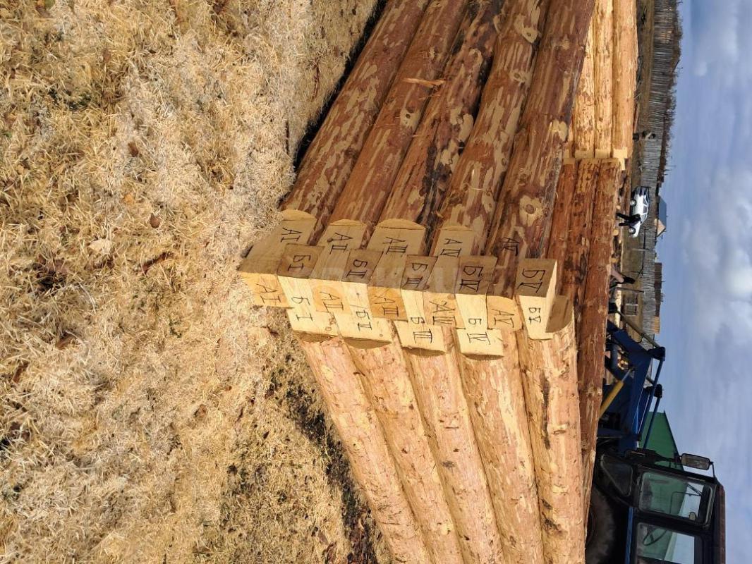 Срубы из сосны любых размеров под заказ. - Орск