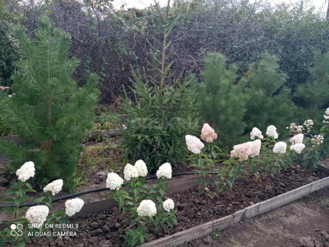 Продам садовый участок 8,5 сот., ТСН ОАО &quot;ОНОС&quot; 7. - Орск