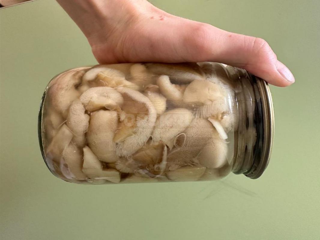 Грибы соленые, маринованные, мороженные, автоклавные (консервированные) и сушеные

Соленые грибы — - Орск