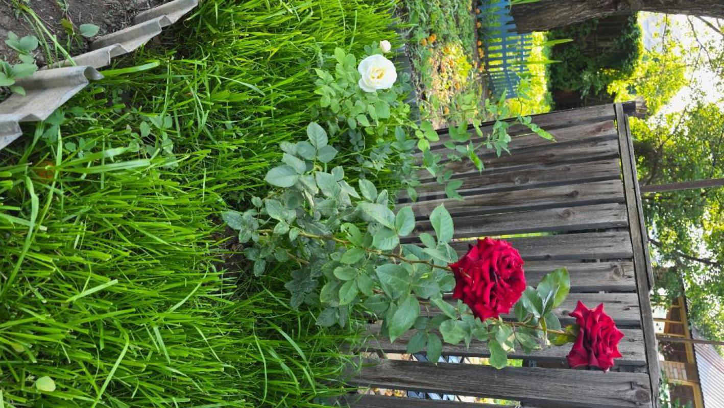 Продам участок в центре города, ровной, правильной формы. - Орск