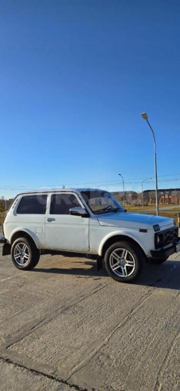 Продам ниву в хорошем состоянии 2009 года .сел и поехал . - Орск