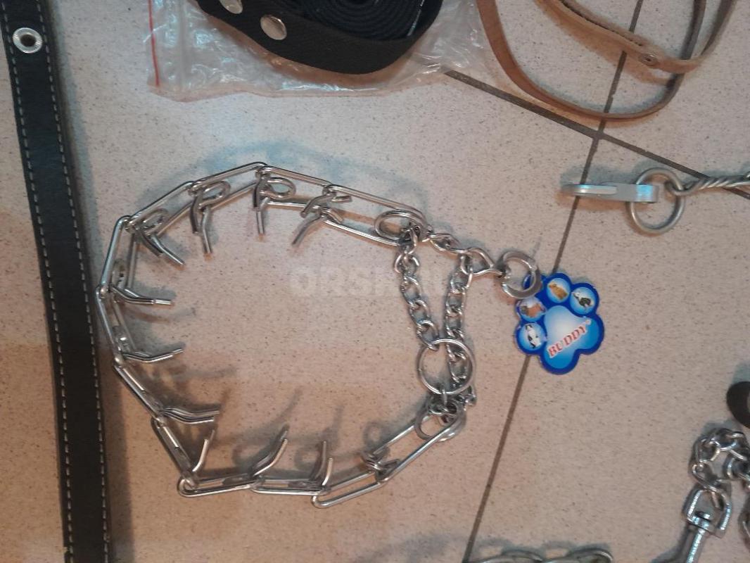 Ошейники и поводки от 500руб. - Гай