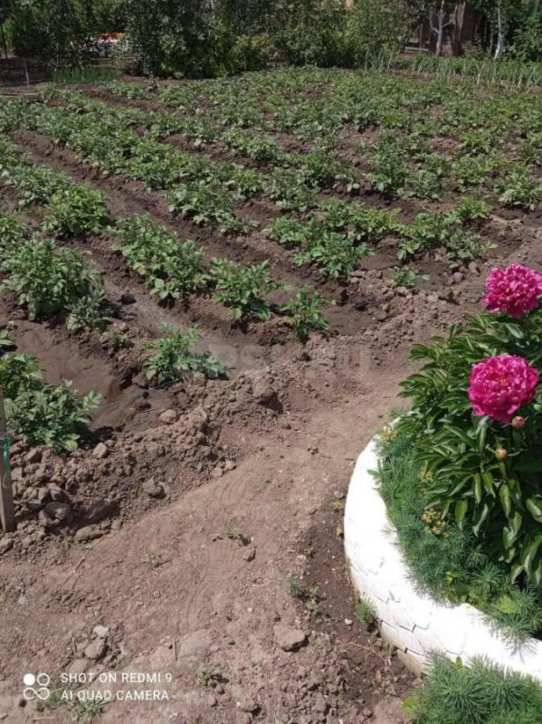 СРОЧНО ПРОДАМ САД в районе ЗЕЛЕНХОЗ, СНТ МПО ЖКХ ст. - Орск