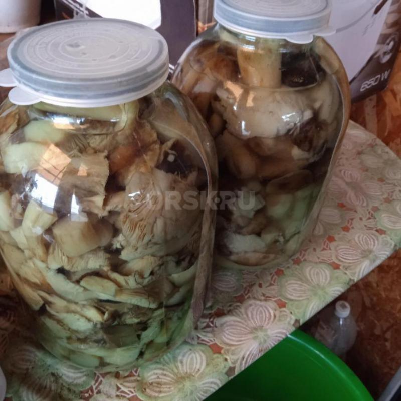 Продам грибы валуи 3 л 2200 Яблоки домашние сорт Спартан 150 р кг - Орск