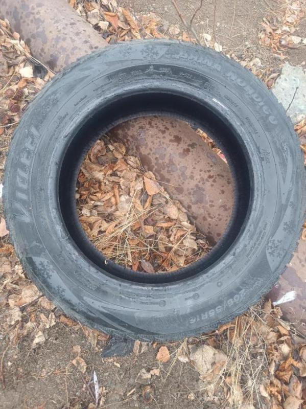 Продам резину viatti brinо nordico 205/55/16, в очень хорошем состоянии 95% шипов на месте дорогу де - Орск