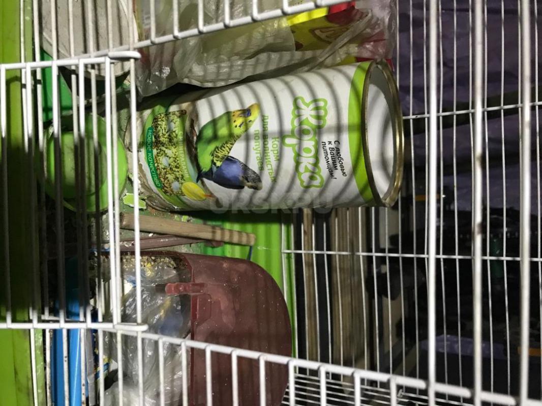 Клетка 1) для попугая 2 )для мелкого грызуна. - Орск