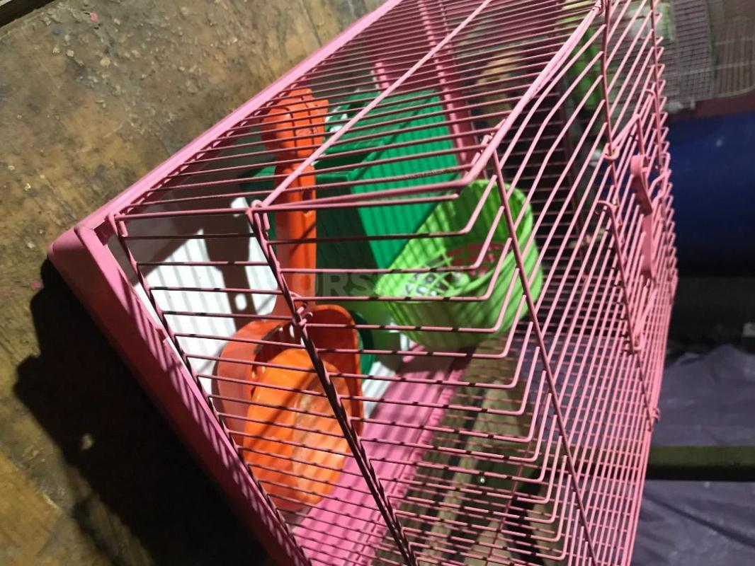 Клетка 1) для попугая 2 )для мелкого грызуна. - Орск