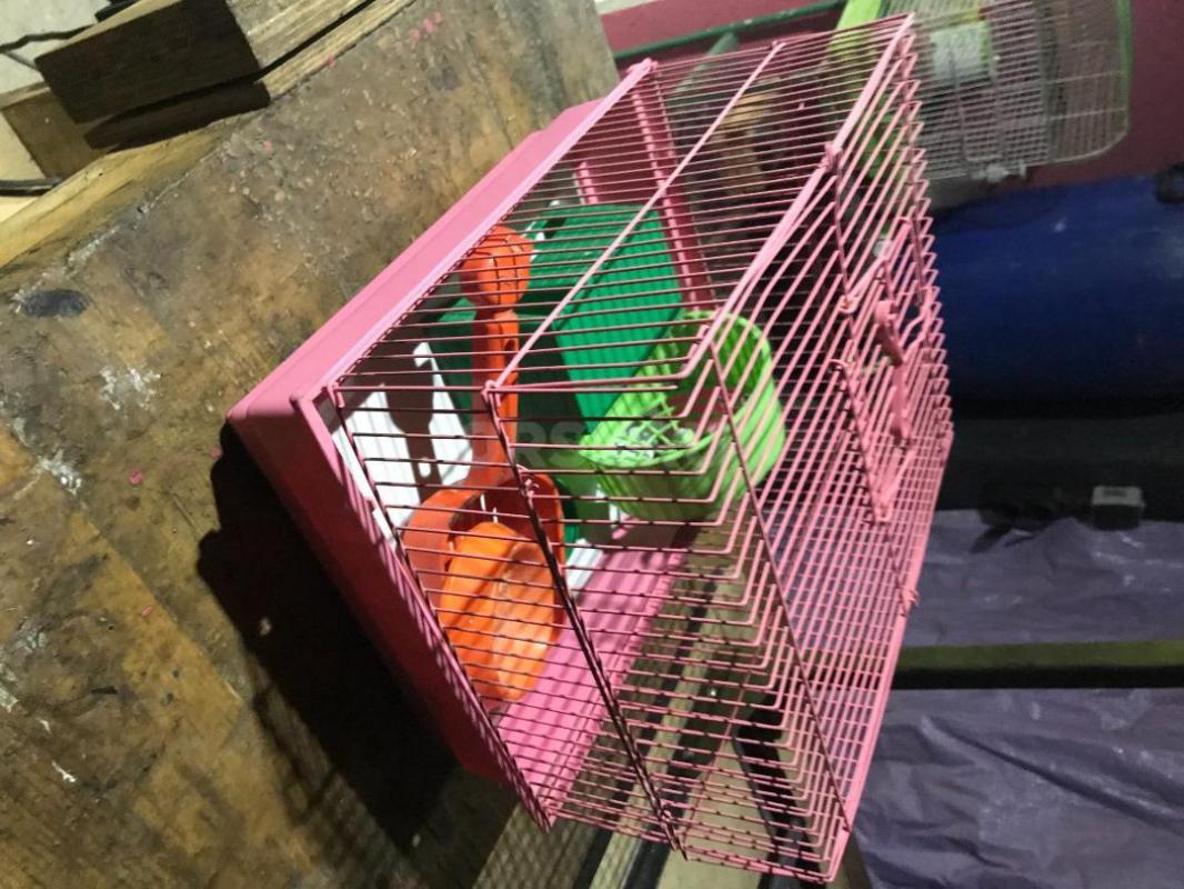 Клетка 1) для попугая 2 )для мелкого грызуна. - Орск