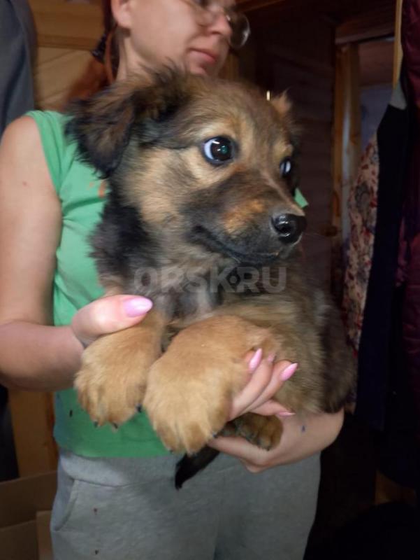 Орск, Новотроицк, Гай, Медногорск, Кувандык и другие населённые пункты ! - Орск