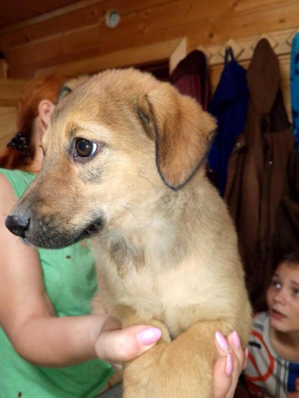 Орск, Новотроицк, Гай, Медногорск, Кувандык и другие населённые пункты ! - Орск