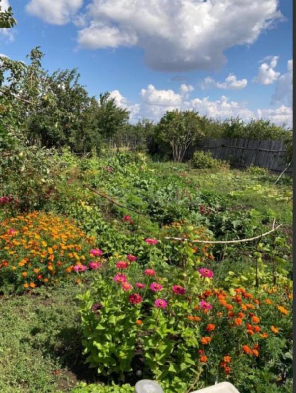 Продается сад на садах №8 с домиком. - Новотроицк