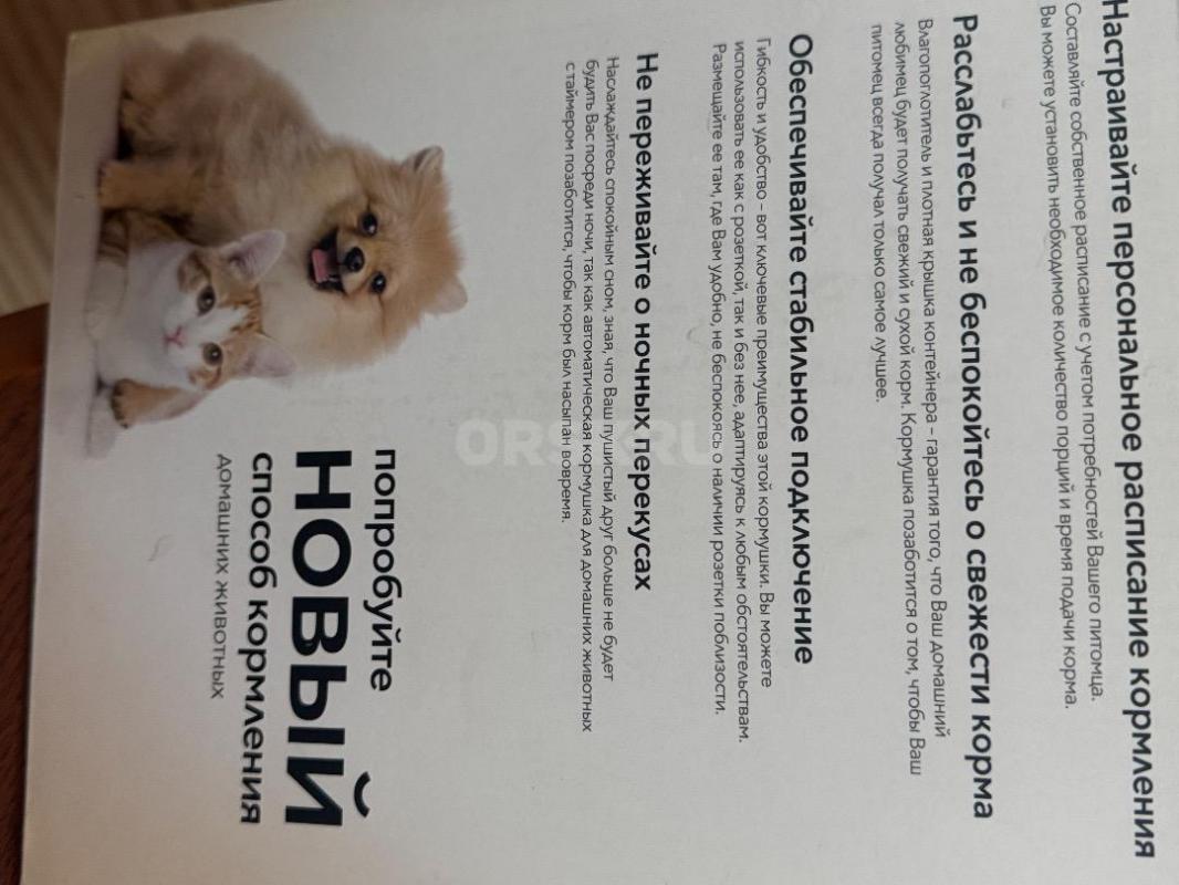 Автокормушка. - Орск