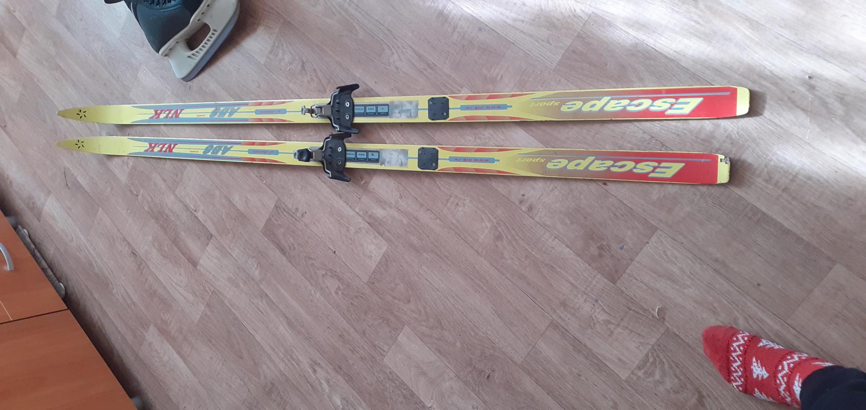 Продаются  лыжи   в хорошем  состоянии длина 170  цена 800. - Новотроицк