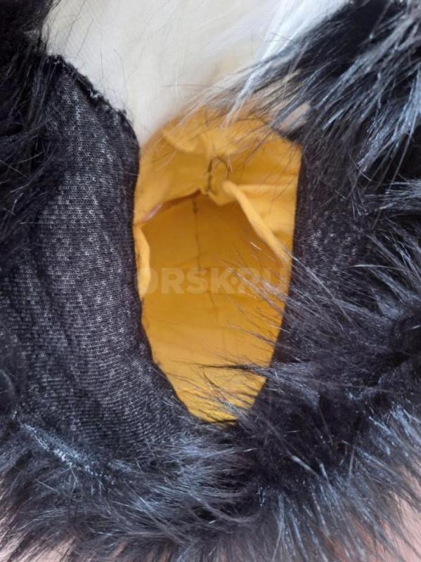 Фурсьют (Фурхед) кошки в отличном состоянии. - Орск