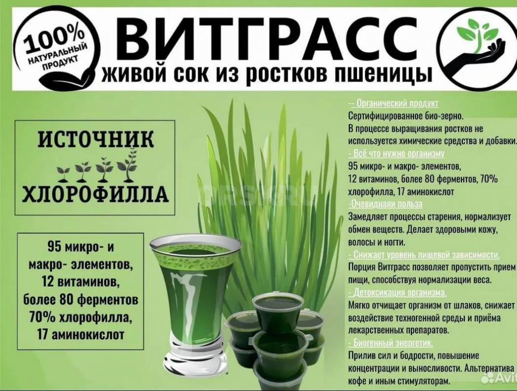 ВИТГРАСС - сок ростков пшеницы является хорошим источником макро и микроэлементов. - Орск