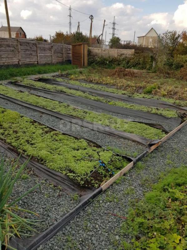 Продаётся ухоженный садовый участок в Орске! - Орск