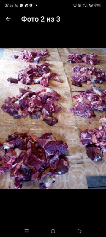 Говядина и Конина по кучкам - Орск