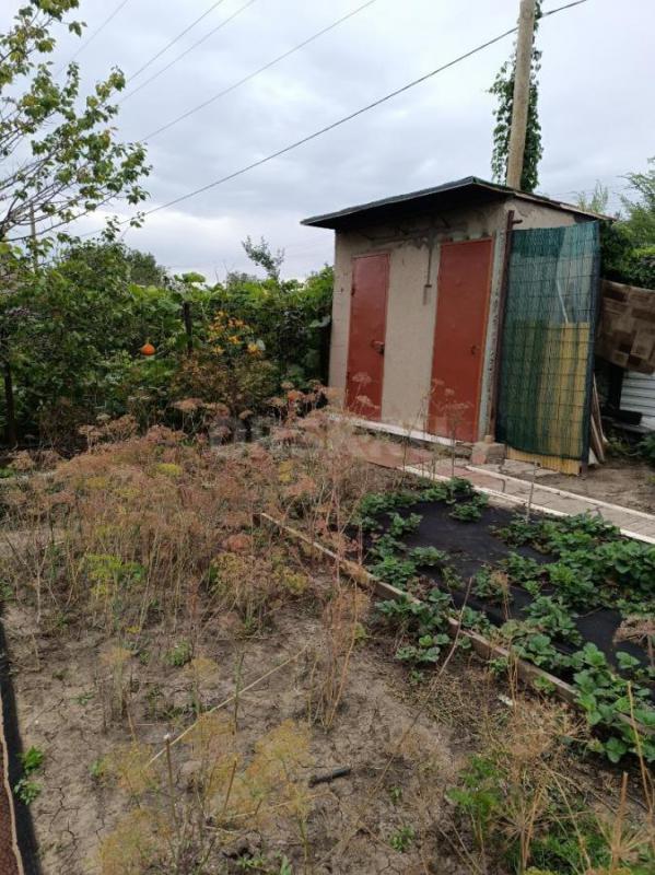 Сад- огород со всеми насаждениями, с любовью ухоженный, основательный и доброжелательными соседями. - Орск