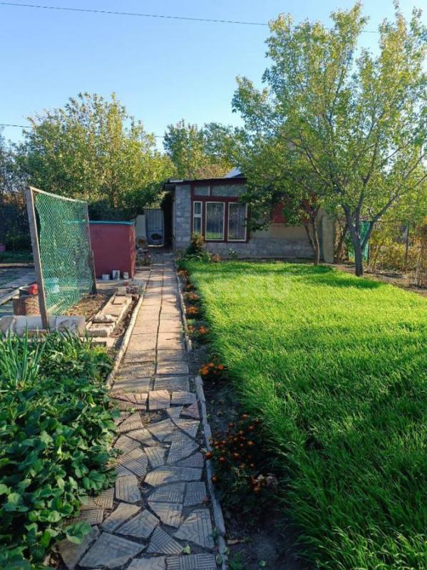 Сад- огород со всеми насаждениями, с любовью ухоженный, основательный и доброжелательными соседями. - Орск