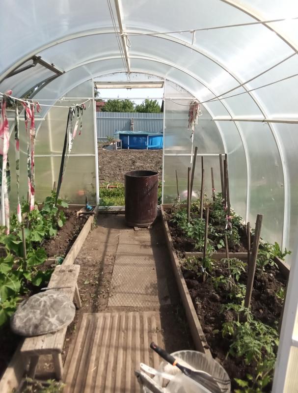 Продается сад вашей мечты: 6 соток уюта и богатого урожая! - Орск