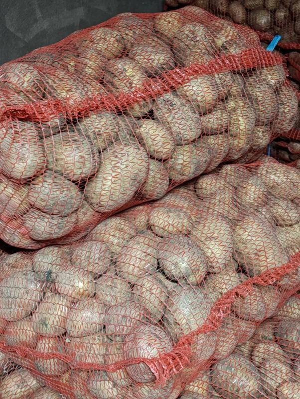 Продам картофель Гала, очень вкусный 30руб/1кг, - Орск
