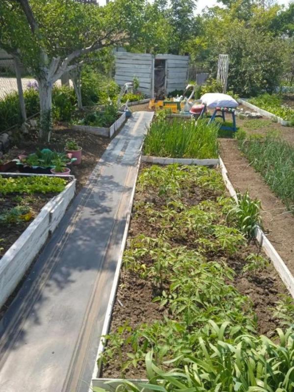 Продам уютную дачу в черте города в районе Зеленхоза три минуты от жд переезда, хороший подъездной п - Орск