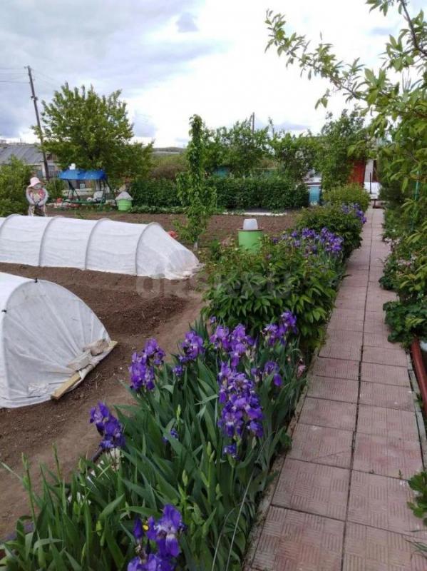 Продам уютную дачу в черте города в районе Зеленхоза три минуты от жд переезда, хороший подъездной п - Орск