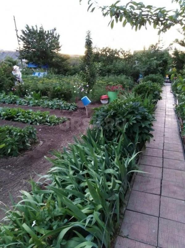 Продам уютную дачу в черте города в районе Зеленхоза три минуты от жд переезда, хороший подъездной п - Орск