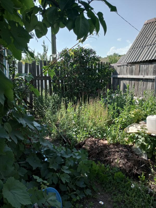 Земельный участок 4(четыре) сотки, домик каменный, туалет деревянный, бак металлический, водовод пол - Новотроицк