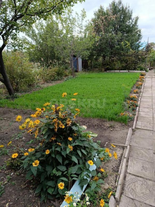 Ухоженный садовый участок в районе станции "Новый Город". - Орск