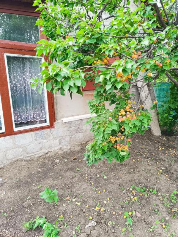 Ухоженный садовый участок в районе станции "Новый Город". - Орск