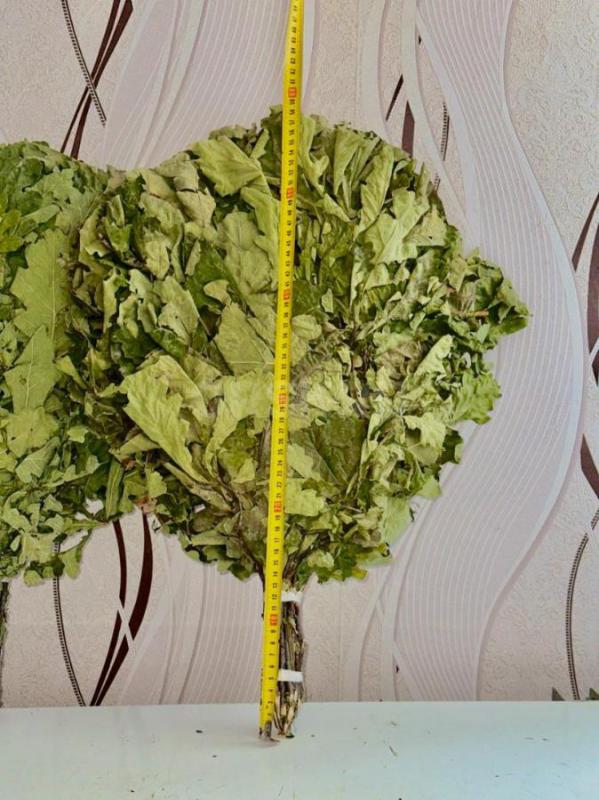 Продам банные веники дубовые и берёзовые сбор 2025 г высококого качества, веники собраны в экологиче - Орск