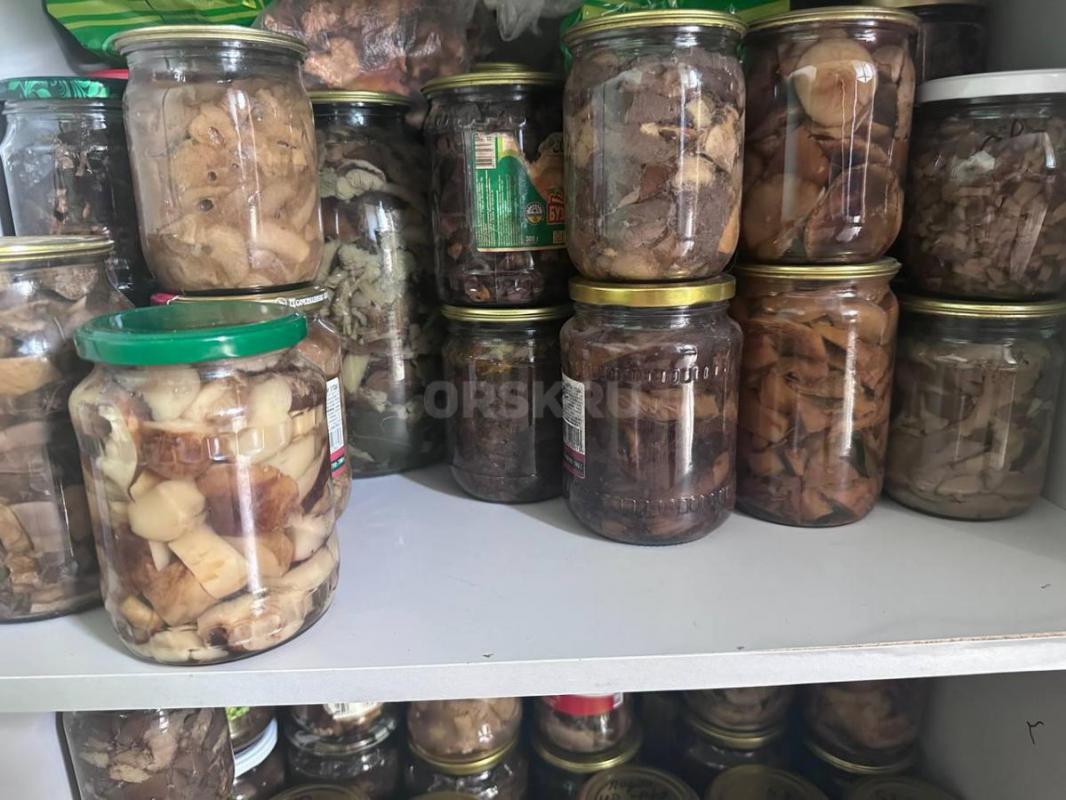 Грибы соленые, маринованные, мороженные, автоклавные (консервированные) и сушеные

Соленые грибы — - Орск