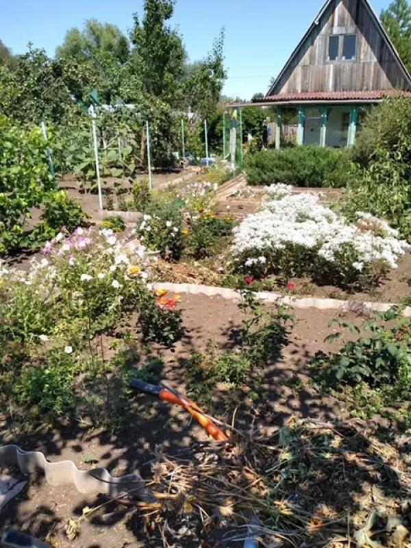 Продам в хорошие руки садовый участок (сады №8, 5 участок,  2 улица). - Новотроицк