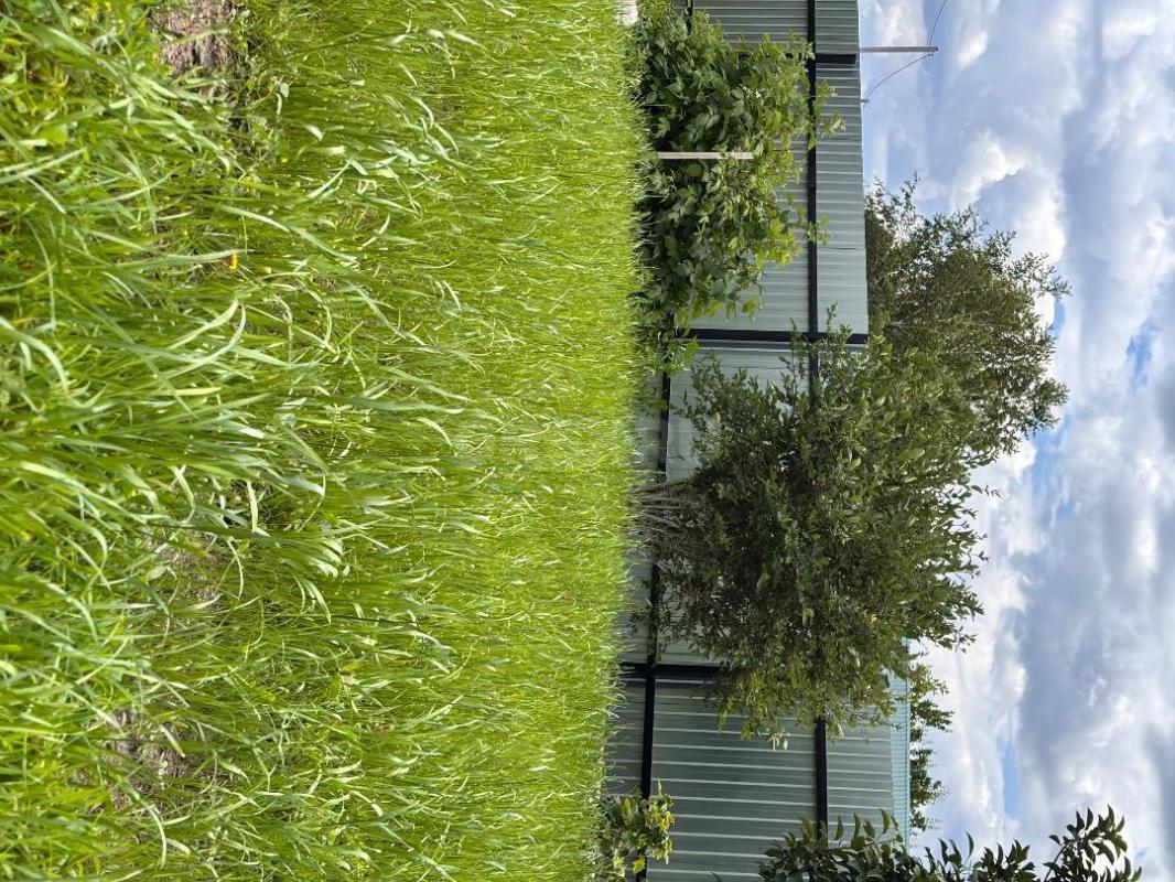 Продаю земельный участок с собственной скважиной, участок в собственности, находится в СНТ НИВА, в ч - Орск